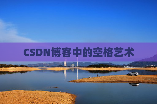 CSDN博客中的空格艺术